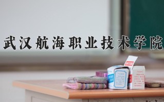 2025年武汉航海职业技术学院在四川计划招生人数（附学费及专业录取分)
