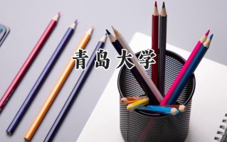 2024青岛大学录取分数线：山西最低507分