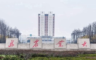 2024青岛农业大学录取分数线，重庆录取最低分504