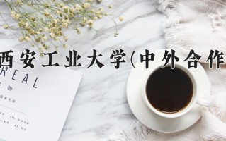 2024西安工业大学(中外合作)录取分数线，重庆录取最低分515
