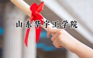 山东华宇工学院2024在山东录取分数线是多少？最低217分/最高493分