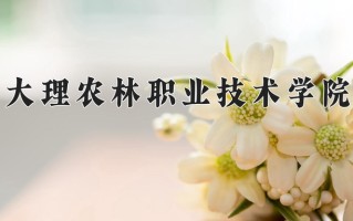 四川392分能上什么好大学？附2025年可以报考的大学名单