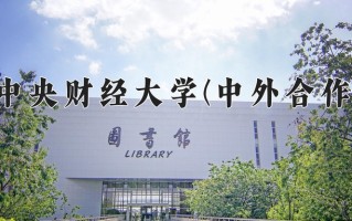 2025年中央财经大学(中外合作)在四川计划招生人数（附学费及专业录取分)