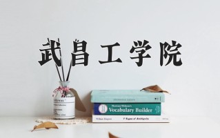2024武昌工学院录取分数线：浙江最低340分