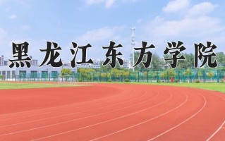 2024年黑龙江东方学院录取分数线，新疆最低272分