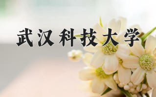 武汉科技大学全国排名和最强专业解析