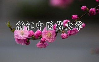 浙江中医药大学2024在浙江录取分数线是多少？最低491分/最高653分