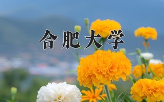 合肥大学全国排名和最强专业解析