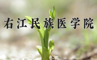 右江民族医学院一年学费多少钱及各专业的收费标准(2025参考）