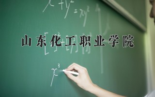 2024年山东化工职业学院录取分数线，河北最低348分