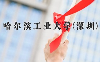 2025年哈尔滨工业大学(深圳)在四川计划招生人数（附学费及专业录取分)
