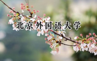 2024北京外国语大学录取分数线：天津最低632分
