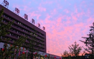2024辽宁中医药大学排名-最新全国排名第249位