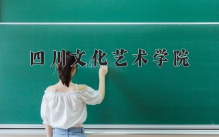 2024年四川文化艺术学院录取分数线，河北最低251分