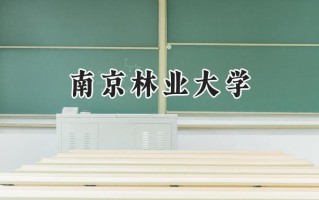 南京林业大学2024在上海录取分数线是多少？最低495分/最高523分