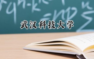 武汉科技大学2024在上海录取分数线是多少？最低507分/最高511分