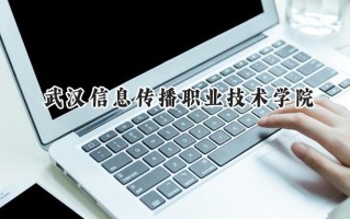 2024武汉信息传播职业技术学院录取分数线：河南最低201分