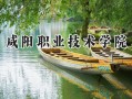 2024咸阳职业技术学院录取分数线：山西最低312分