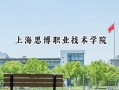 上海思博职业技术学院2024在上海录取分数线是多少？最低110分/最高242分