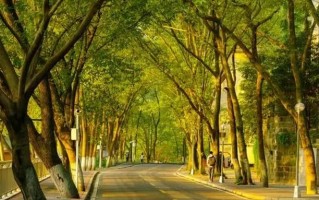 西南大学2023公费师范生录取最低分数线（全国各省）