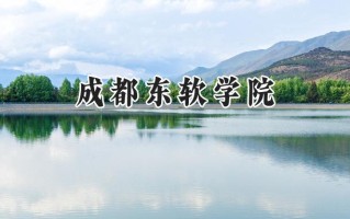 成都东软学院2024在江苏录取分数线是多少？最低466分/最高489分