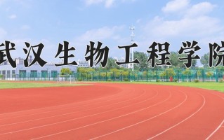 2024年武汉生物工程学院录取分数线，新疆最低152分