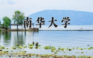 2025年黑龙江高考436分可以上什么大学？附可以上的院校名单