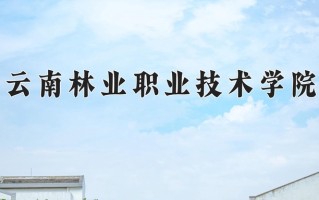 2024云南林业职业技术学院录取分数线，重庆录取最低分180