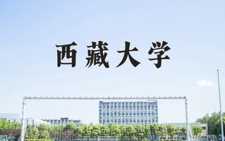 辽宁考生多少分能上西藏大学？2025最低525分