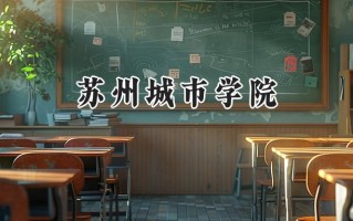 2024苏州城市学院录取分数线：江苏最低467分
