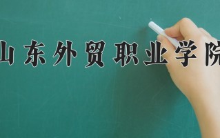 2025年山东外贸职业学院在四川计划招生人数（附学费及专业录取分)