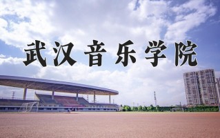 武汉音乐学院好不好？附武汉音乐学院最好的专业排名
