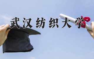 武汉纺织大学怎么样？全国排名第几位