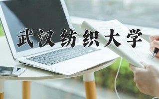 辽宁考生多少分能上武汉纺织大学？2025最低538分