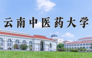 云南中医药大学王牌专业排名-含2024年全国各省录取最低分数线