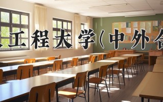 2025年武汉工程大学(中外合作)在四川计划招生人数（附学费及专业录取分)