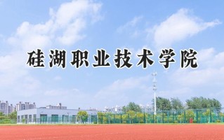 2024硅湖职业技术学院录取分数线：山西最低206分
