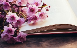 爱尔兰语专业好找工作吗？附2025年爱尔兰语专业就业方向及前景