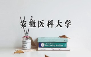 安徽医科大学2024在江苏录取分数线是多少？最低481分/最高605分