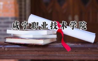 咸宁职业技术学院2024在山东录取分数线是多少？最低379分/最高461分