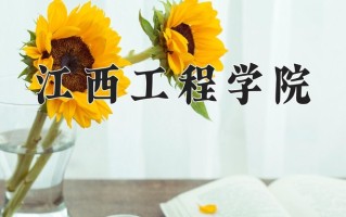 2024江西工程学院录取分数线，重庆录取最低分434