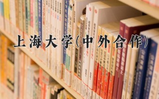 2025年上海大学(中外合作)在四川计划招生人数（附学费及专业录取分)