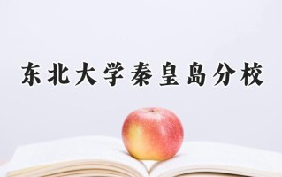 2024东北大学秦皇岛分校录取分数线：宁夏最低479分