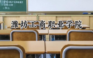 2024潍坊工商职业学院录取分数线：江苏最低220分