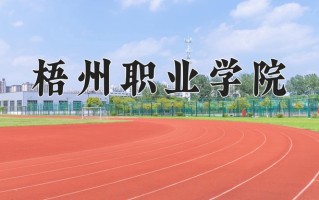 梧州职业学院学费多少钱一年：4600-8000元/年（2025填报参考）