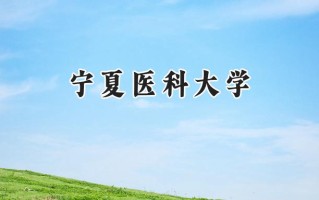 宁夏医科大学2024在上海录取分数线是多少？最低496分/最高531分
