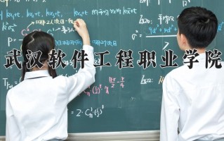 2025年武汉软件工程职业学院在四川计划招生人数（附学费及专业录取分)