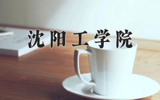 2024沈阳工学院录取分数线，重庆录取最低分427