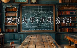 2025年海南大学(中外合作)在四川计划招生人数（附学费及专业录取分)