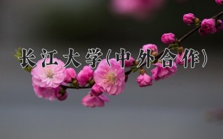 2025年长江大学(中外合作)在四川计划招生人数（附学费及专业录取分)